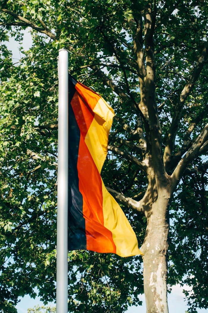 A German flag waves on a pole with trees in the background, capturing nature's blend with national pride.